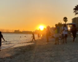 golden sunset picture on the beach